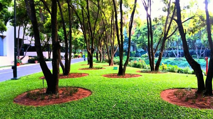 Magical Nature