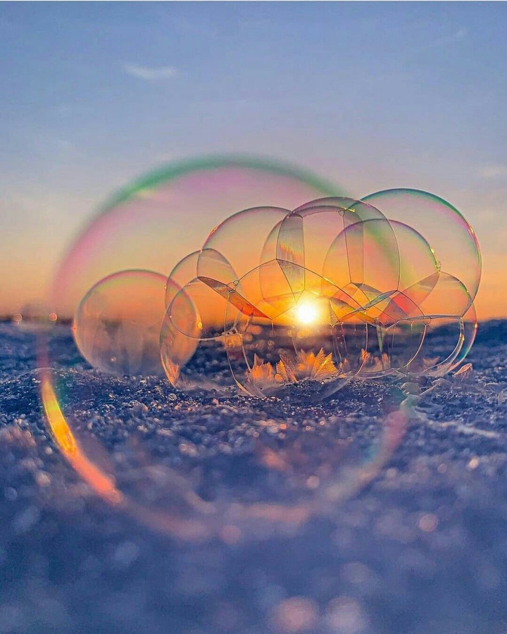 Bubble