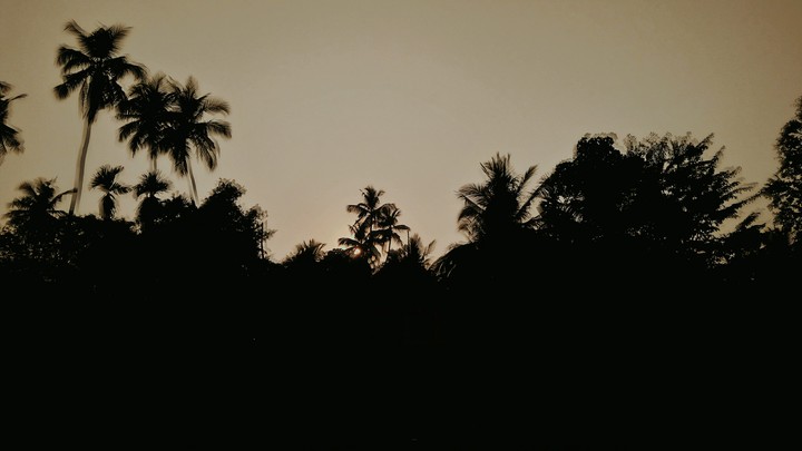 nature