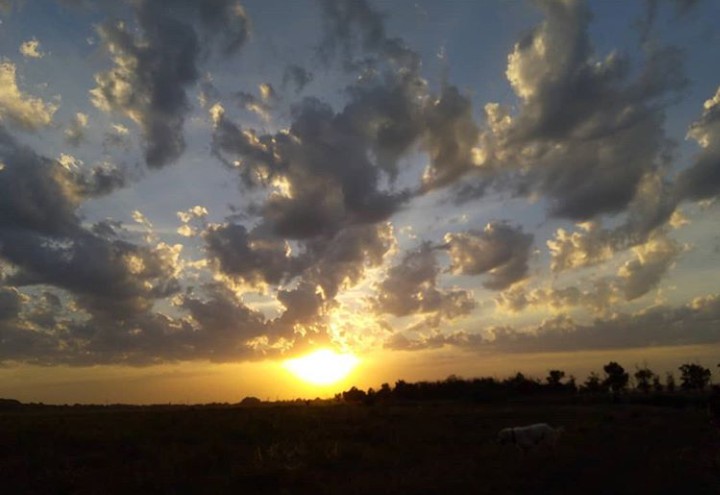 sunset