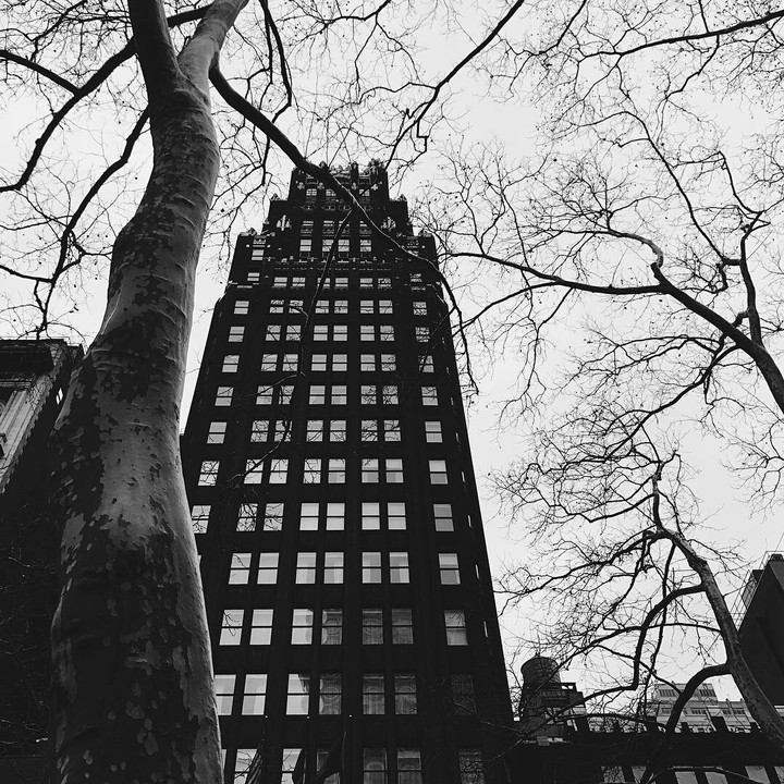 NYC