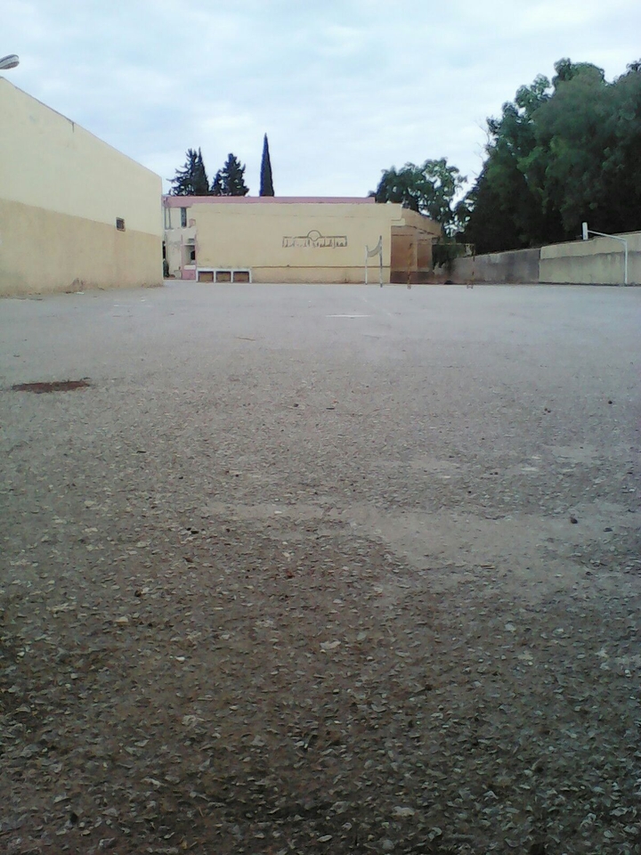 school