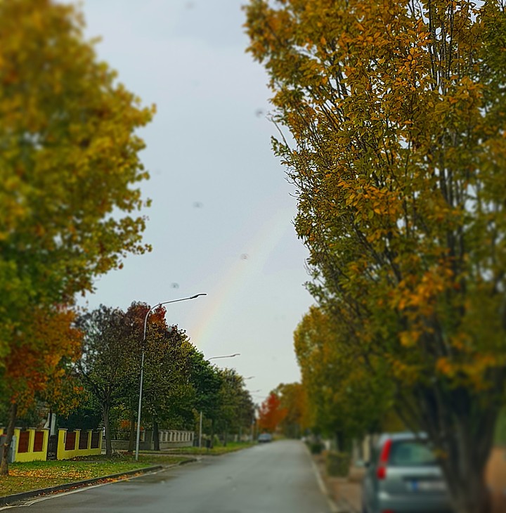 Rainbow