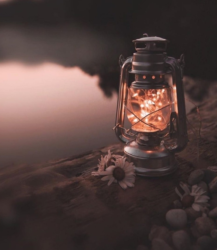 Light)
