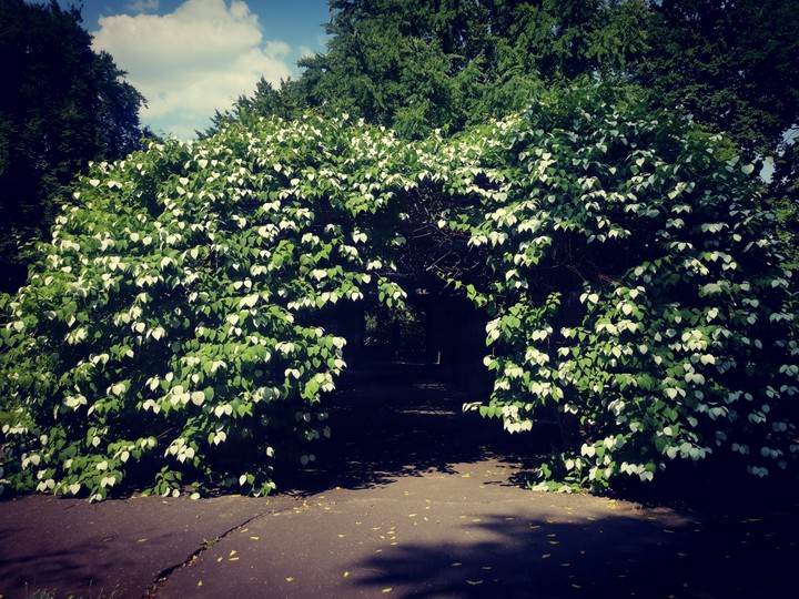 Botanic Garden