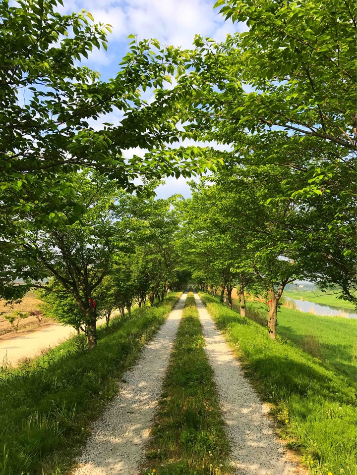 Road