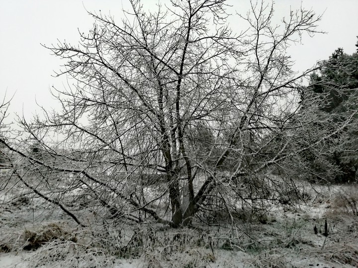Winter Poland