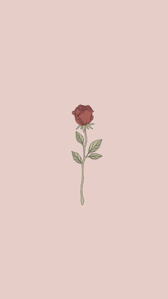 rose?