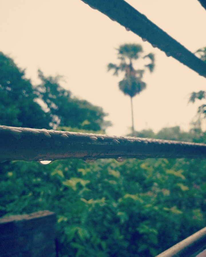 #ari_clicked