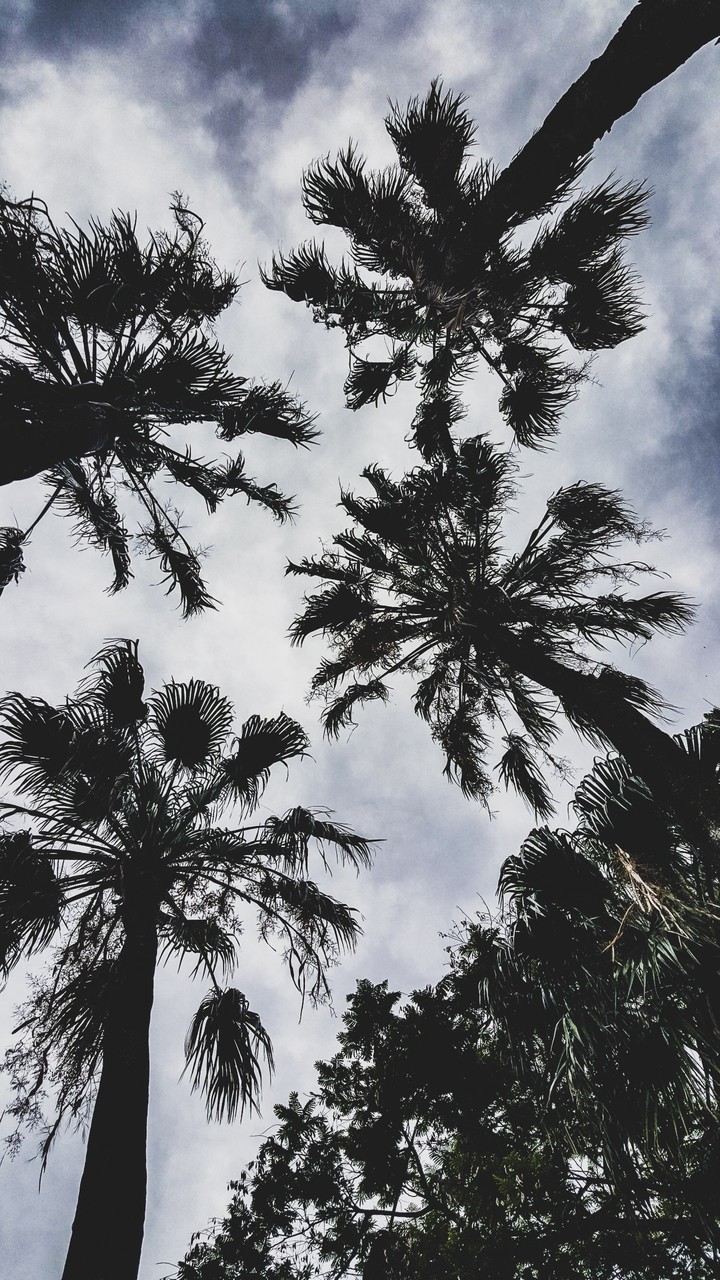 California