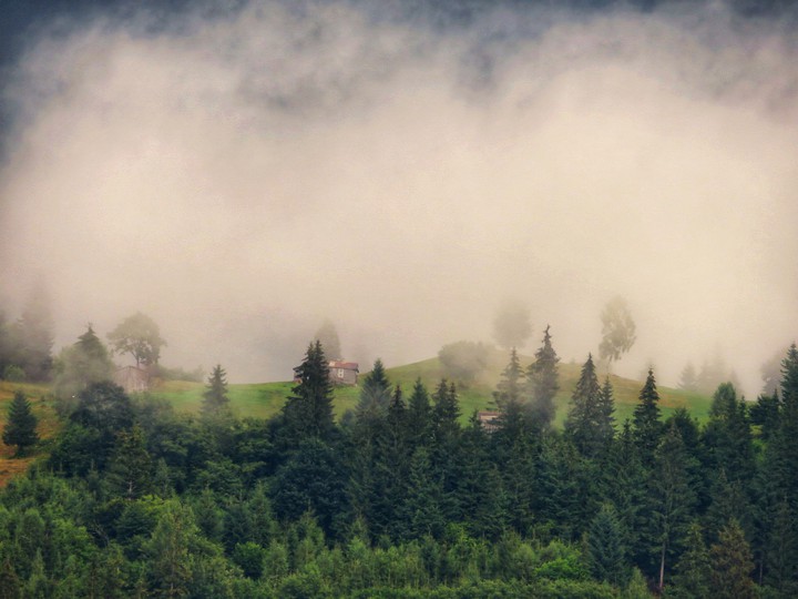 Summer morning