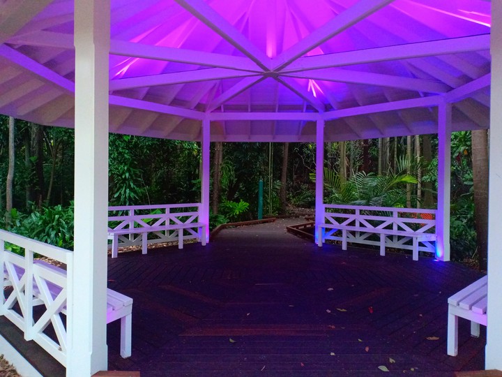purple light