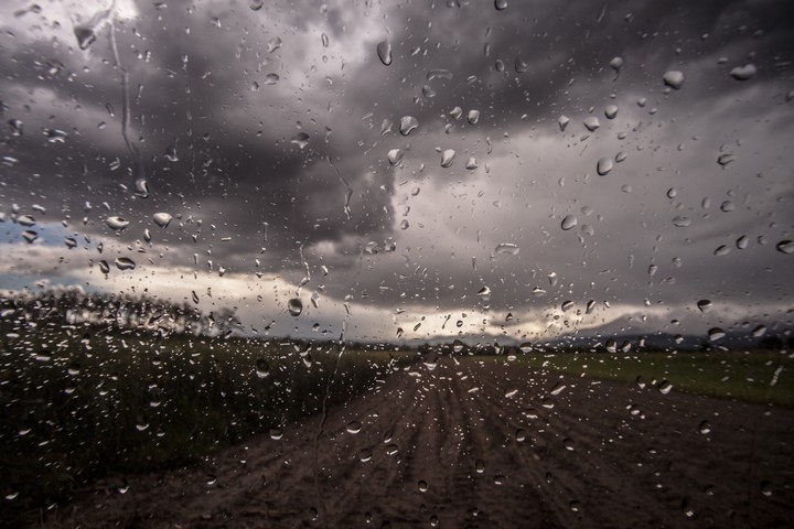 Rain