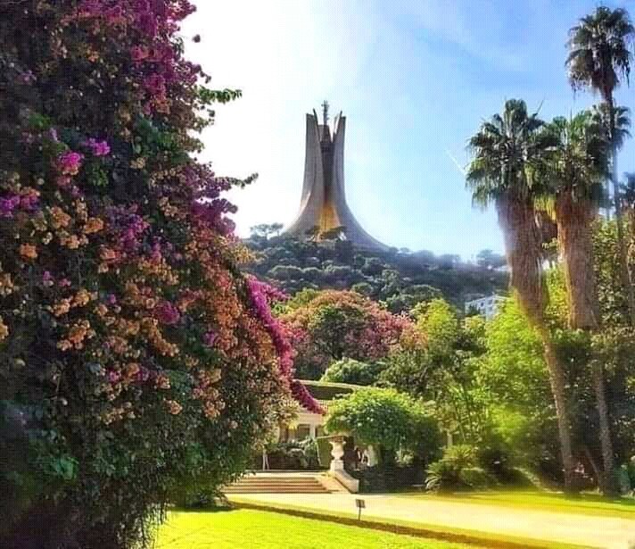 الجزائر✌
