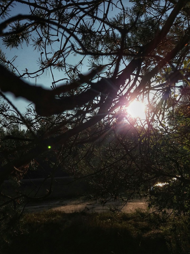 sun