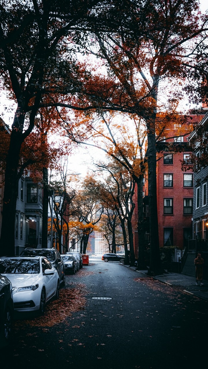 Lonely in the winter streets...