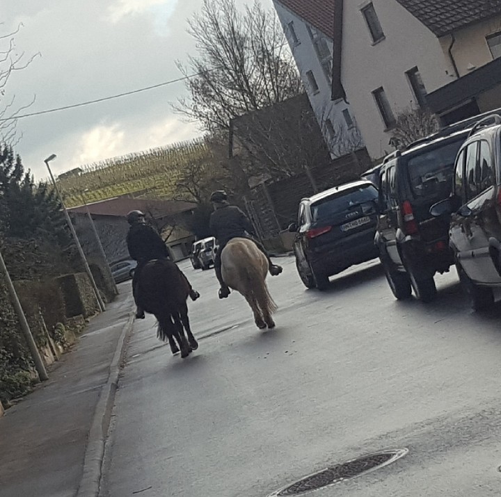 Ich liebe es zu Reiten