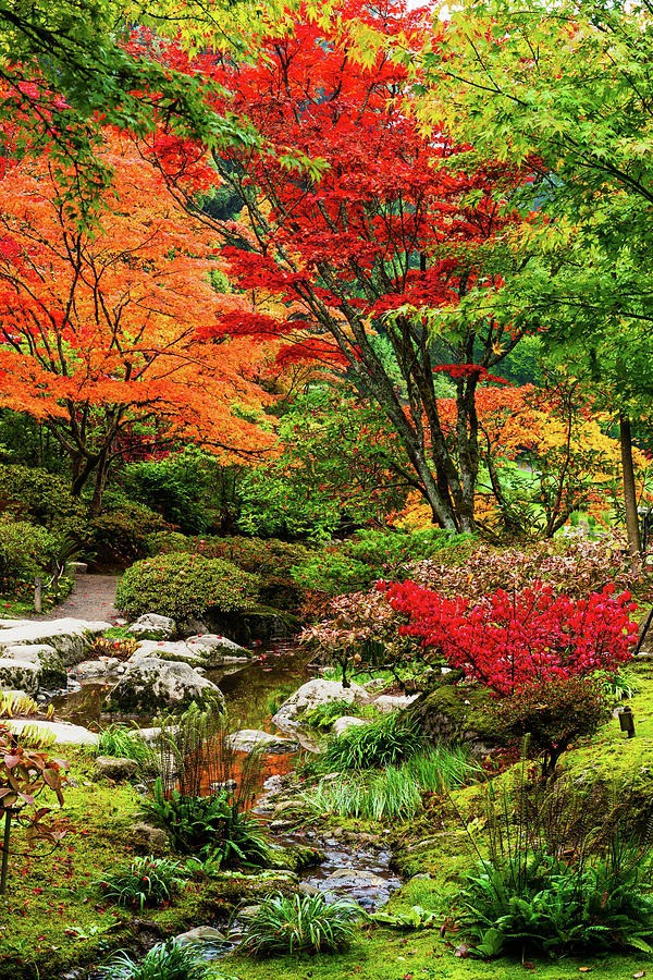 Autumn Garden 4