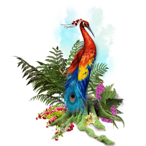 peacock