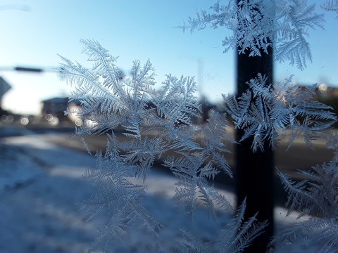 new ice
