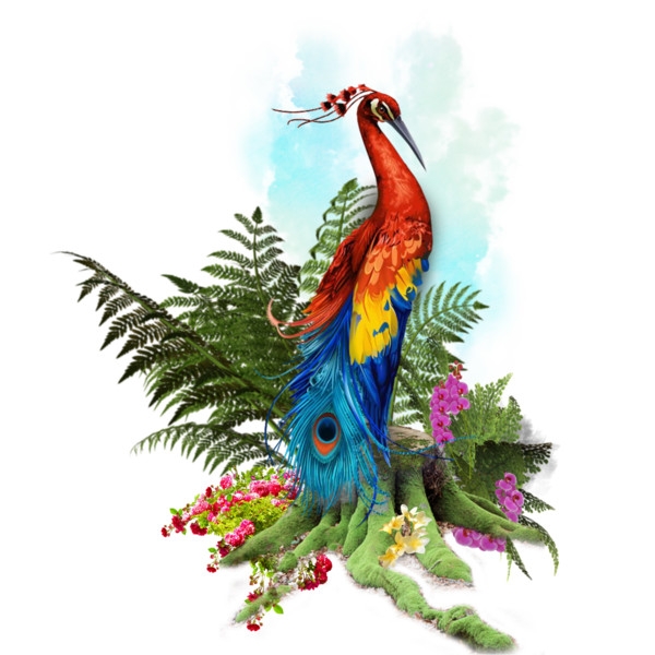 peacock