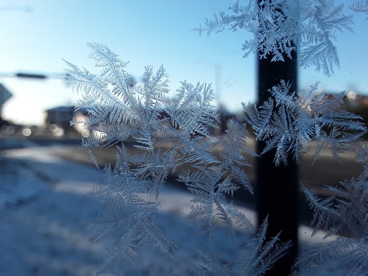 new ice