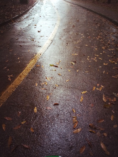 Rainy Road