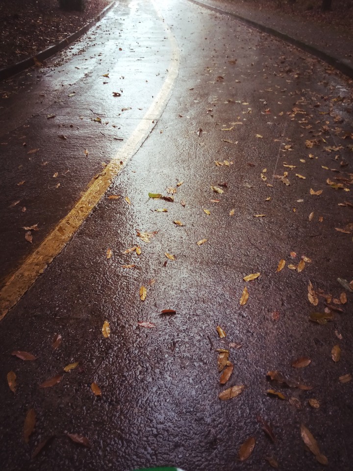 Rainy Road