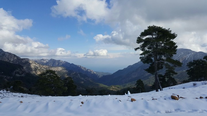 Sea to sky (Dağ deniz doğa) [Background]