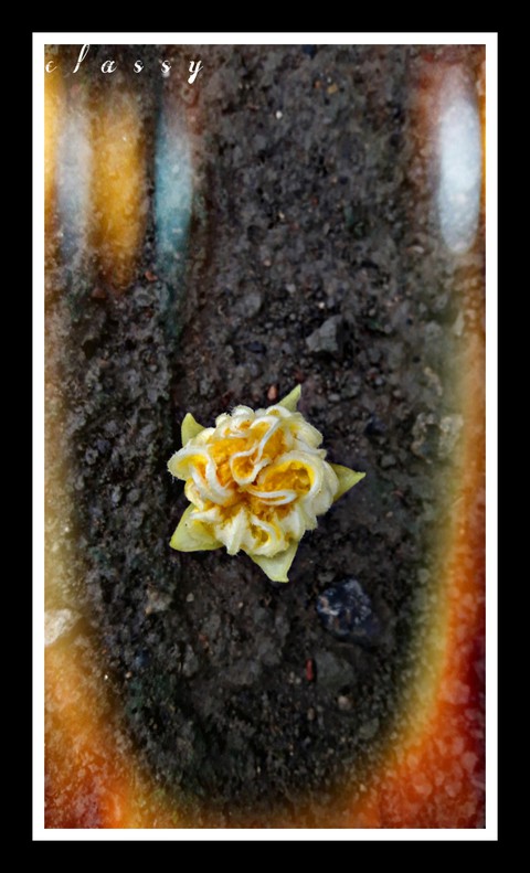 nature love.