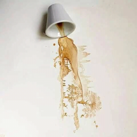 bắt đầu