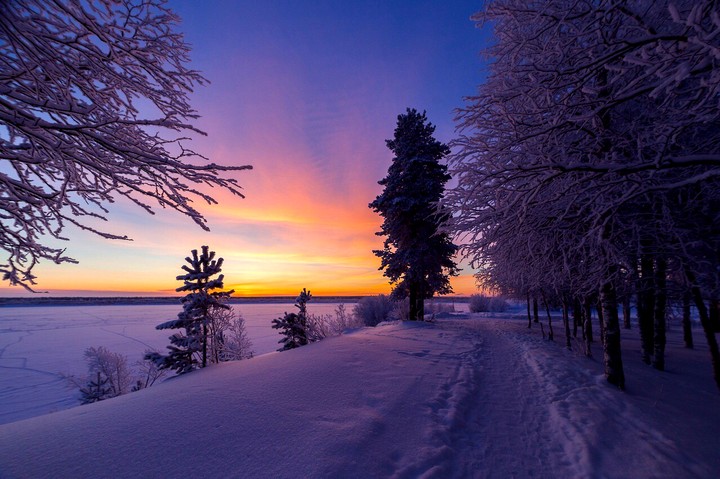 winter