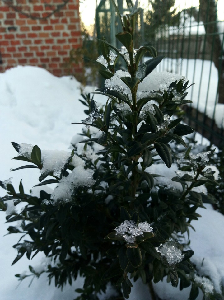 winter
