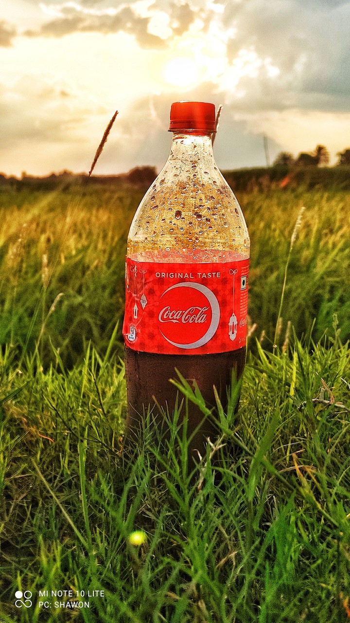 beverage