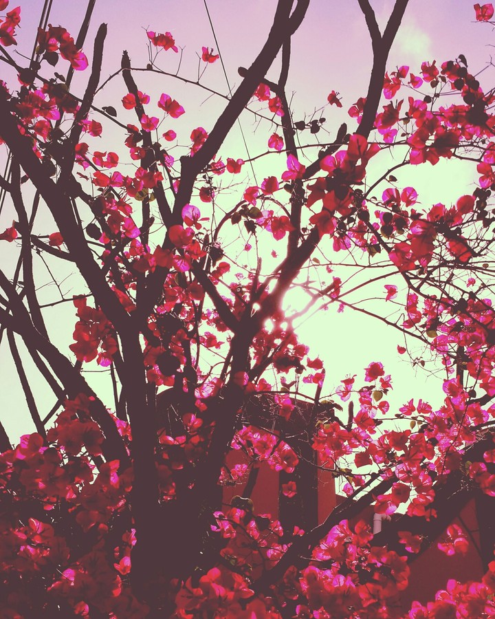 ~Vivir y dejar vivir~