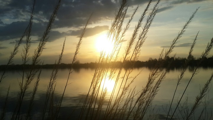 Catching the Sun