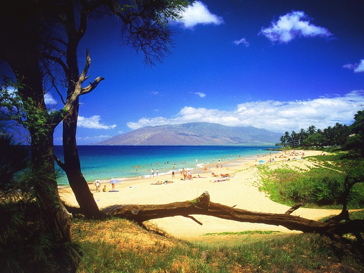Scenary