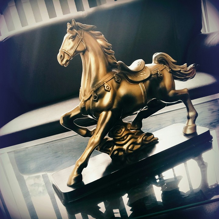 War Horse