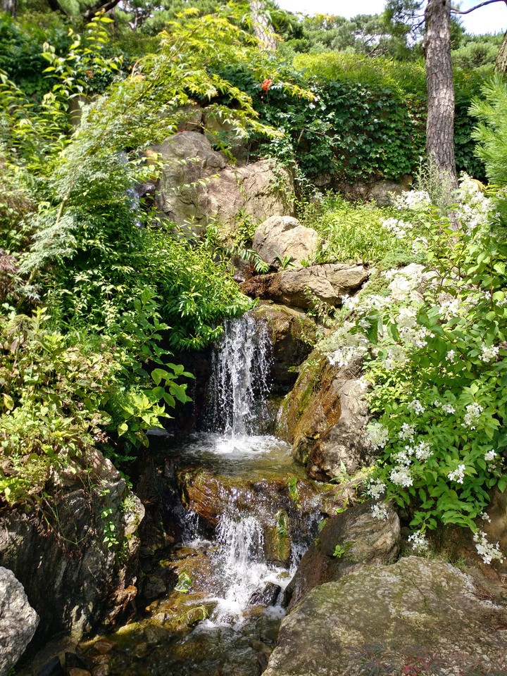 수목원 arboretum