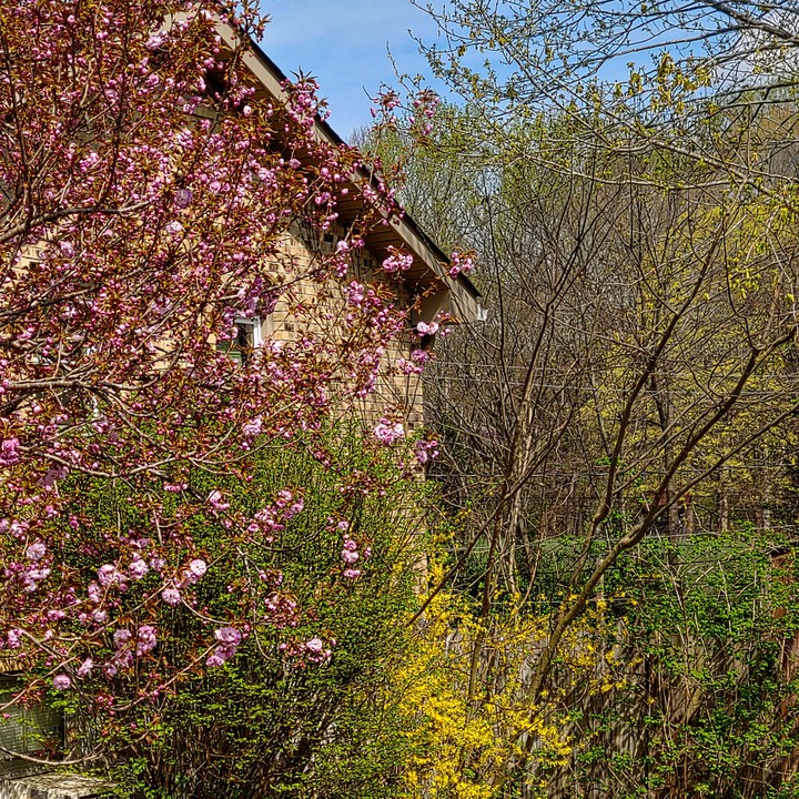 Spring