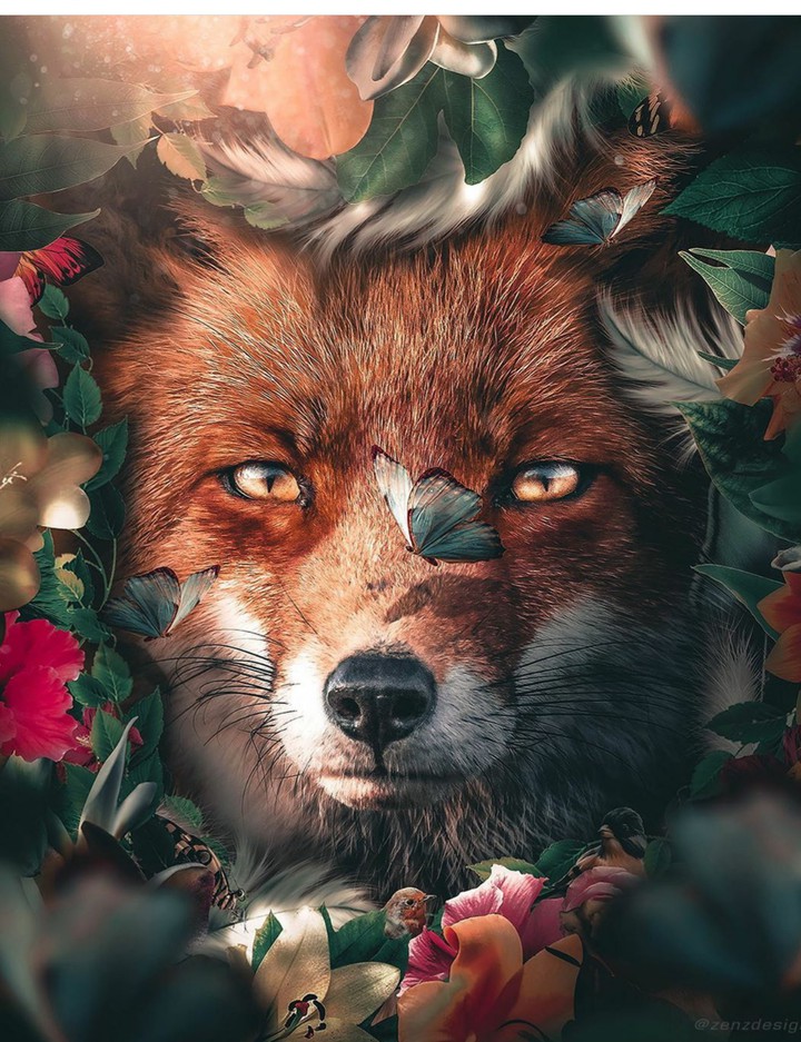 wallpaper
