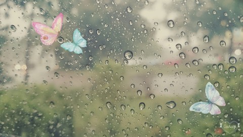 Rainy day