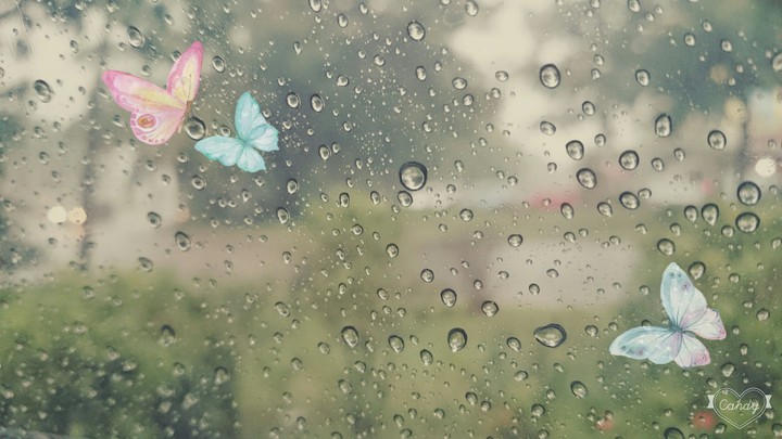 Rainy day