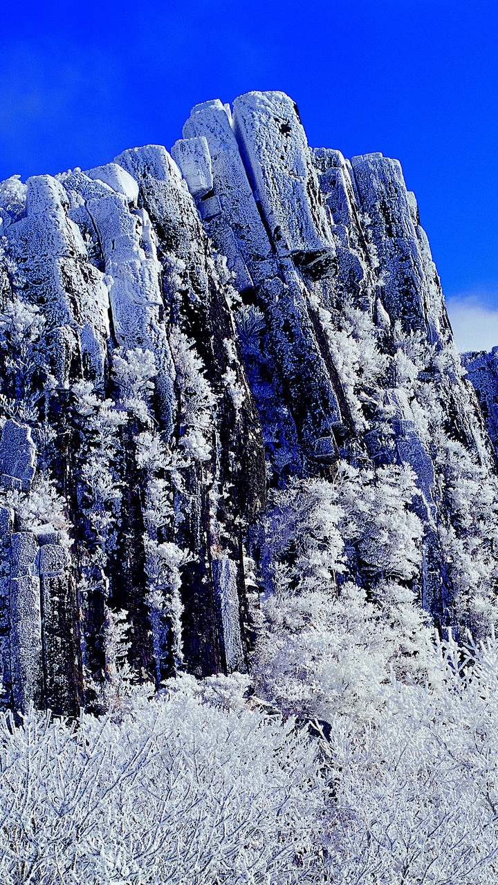 winter