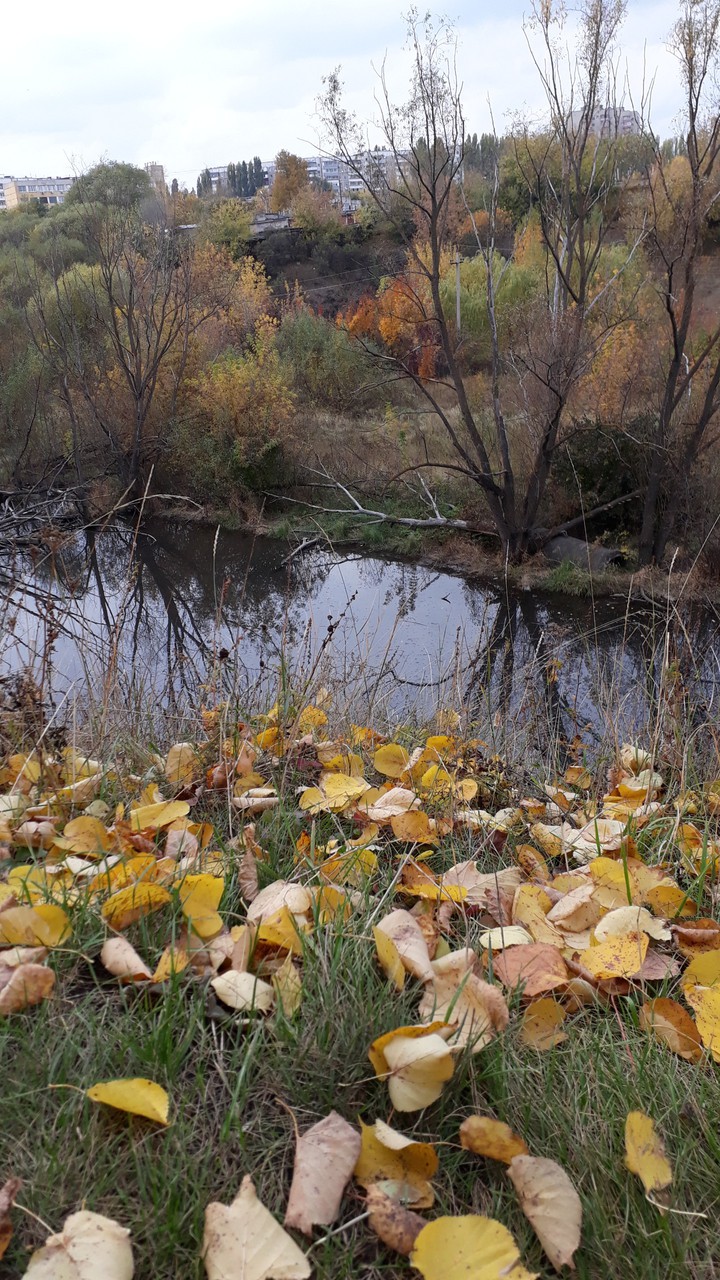 осень в городе