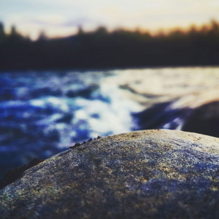 Macro
