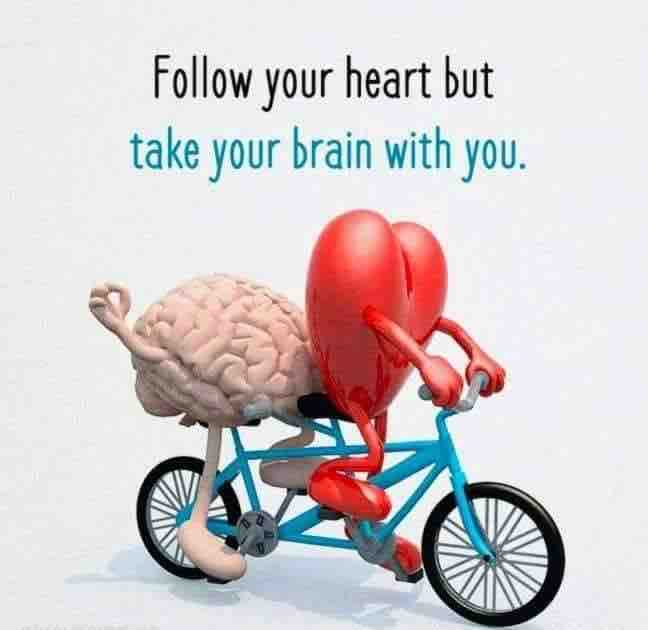 brain