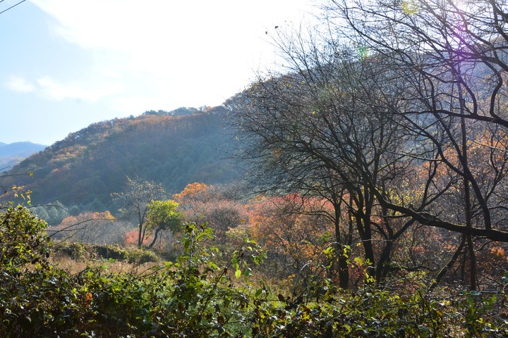 산이미지