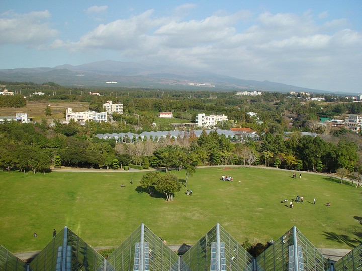 Scenics