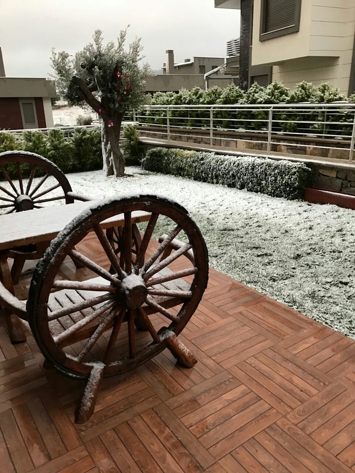 Snow Garden